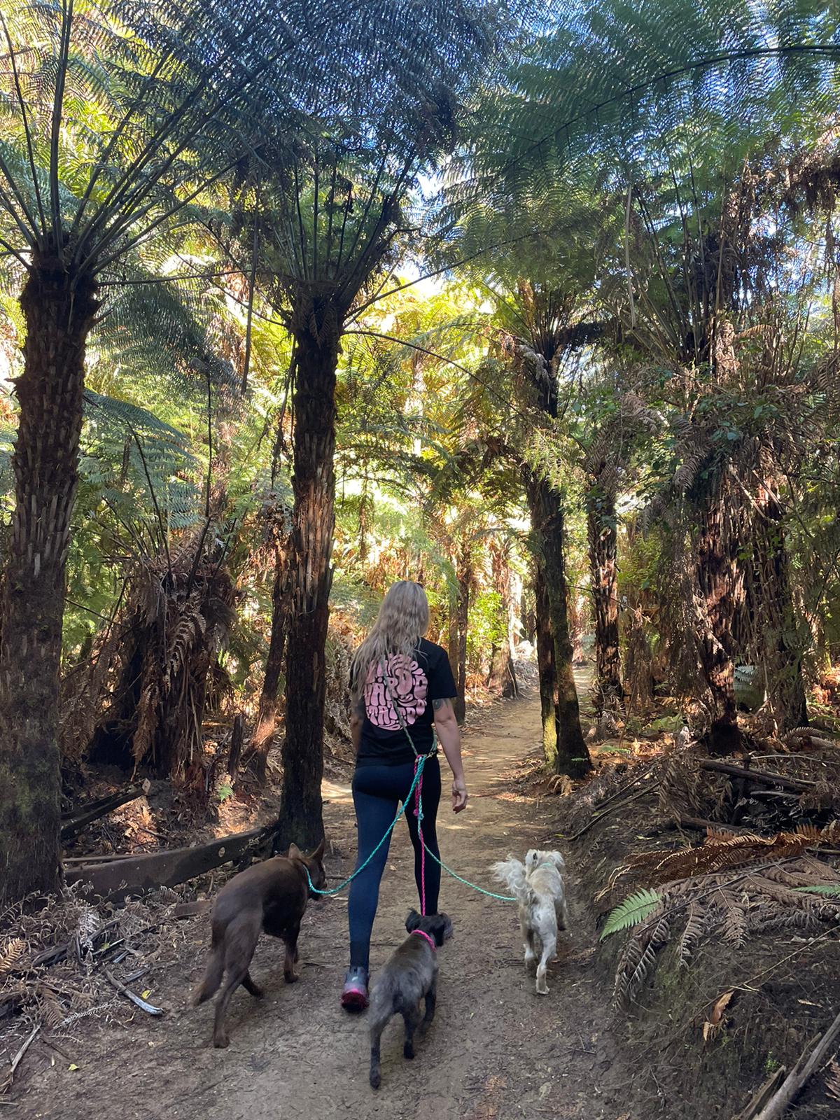 Structed Pack Walking