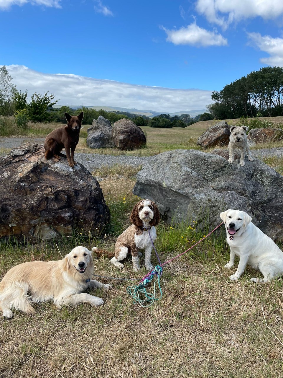 Structed Pack Walking Rocks