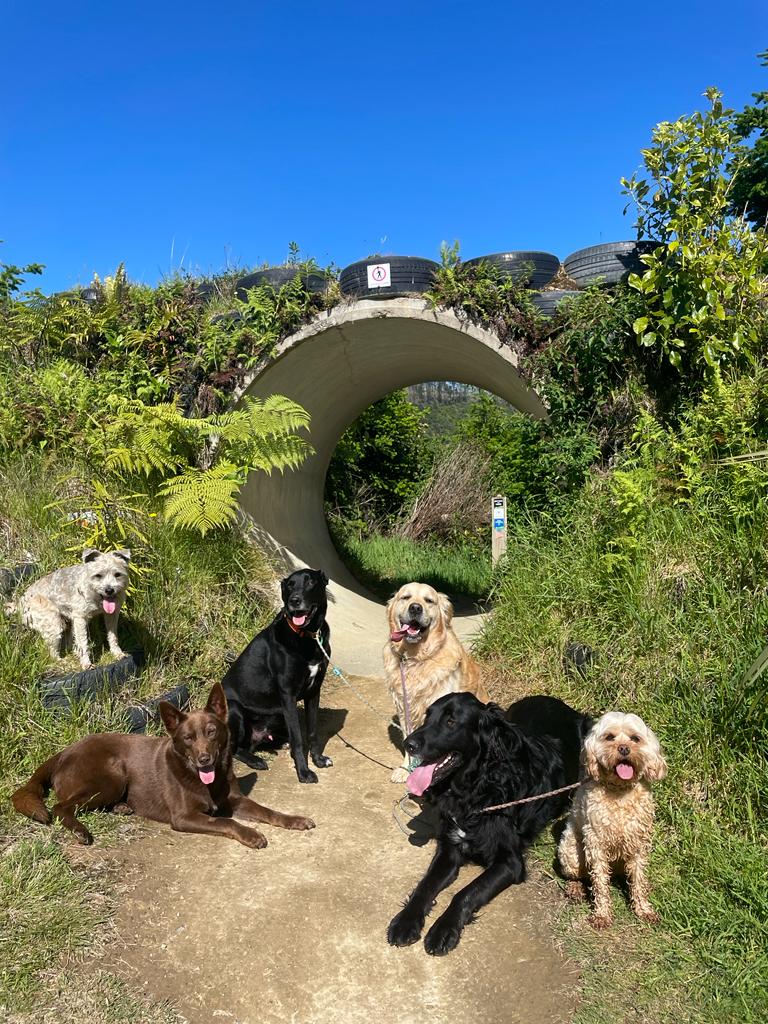 Structed Pack Walking Tunnel